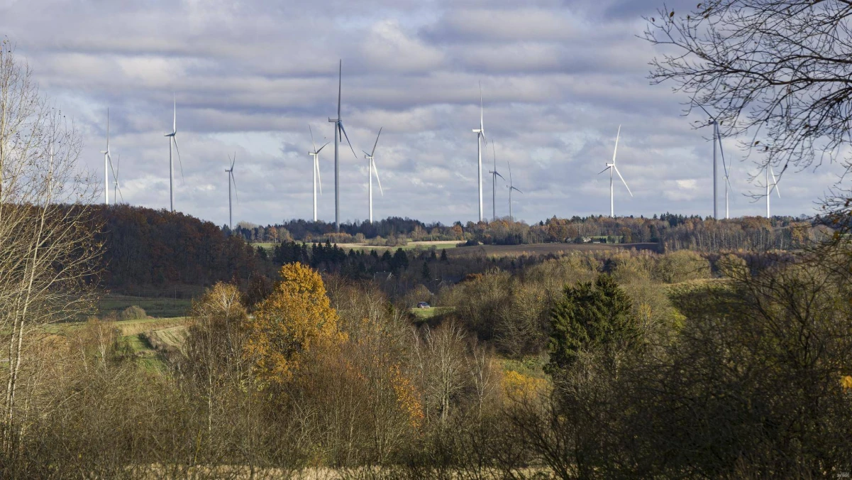Algimanto Kalvaičio nuotr.