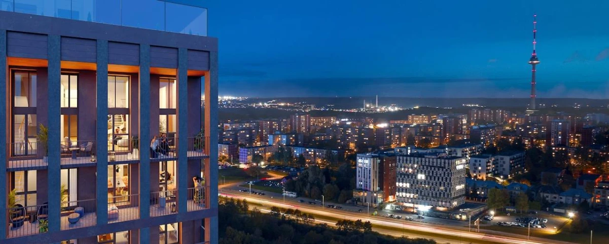 Projekto „Newton vizualizacija. Įmonės iliustr.