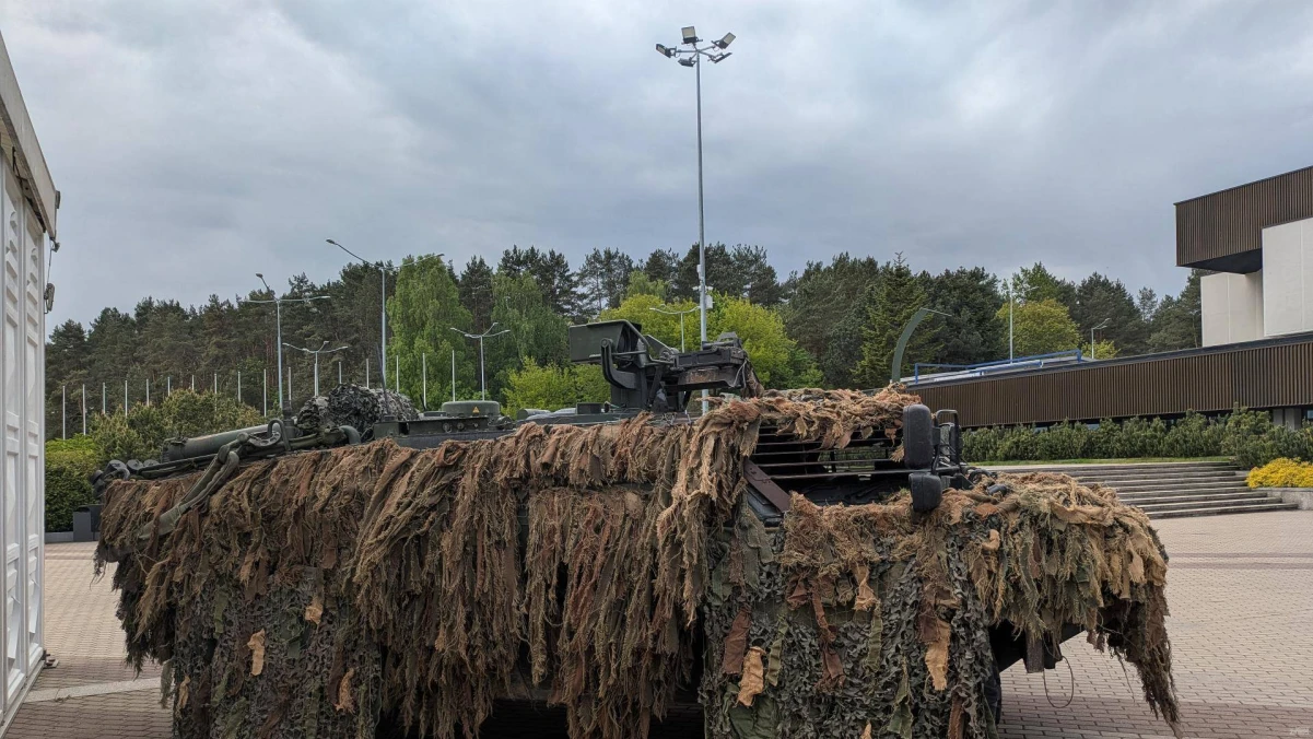 Vladimiro Ivanovo (VŽ) nuotr.