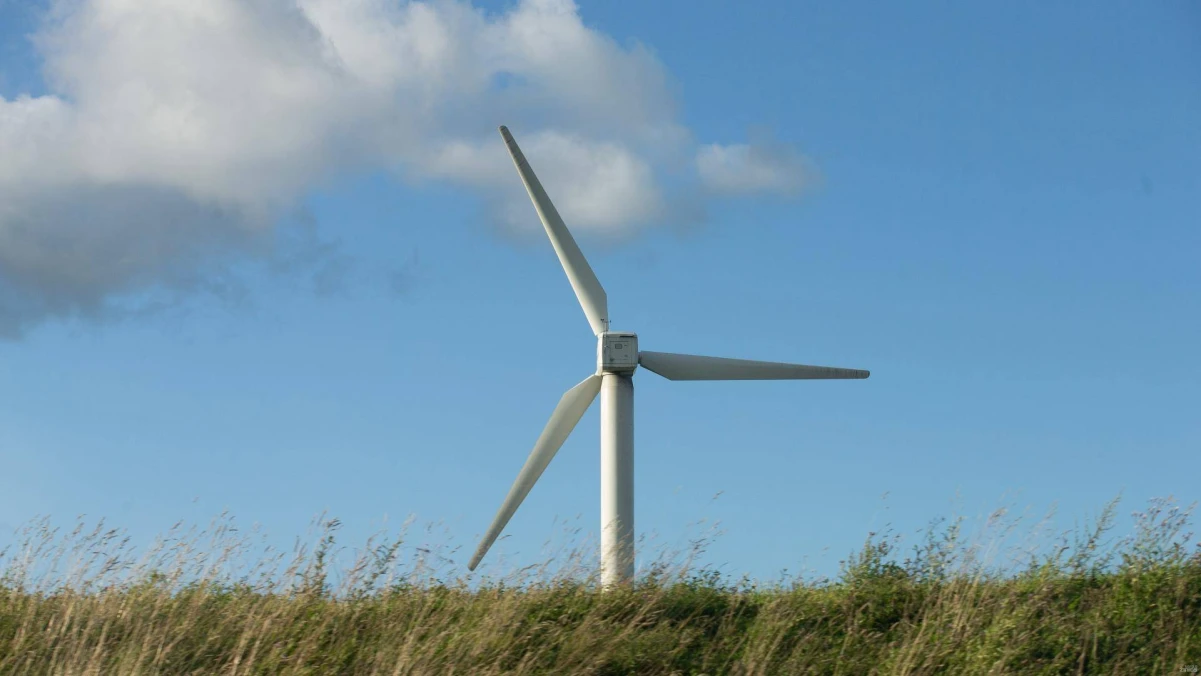 Juditos Grigelytės (VŽ) nuotr.