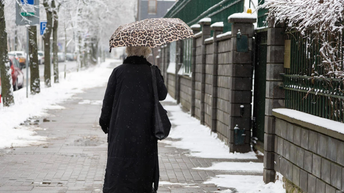 Vladimiro Ivanovo (VŽ) nuotr.