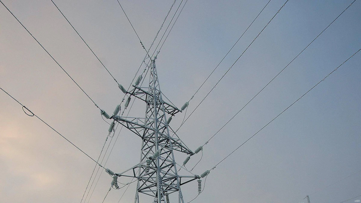 Elektros perdavimo linija. Algimanto Kalvaičio nuotr.