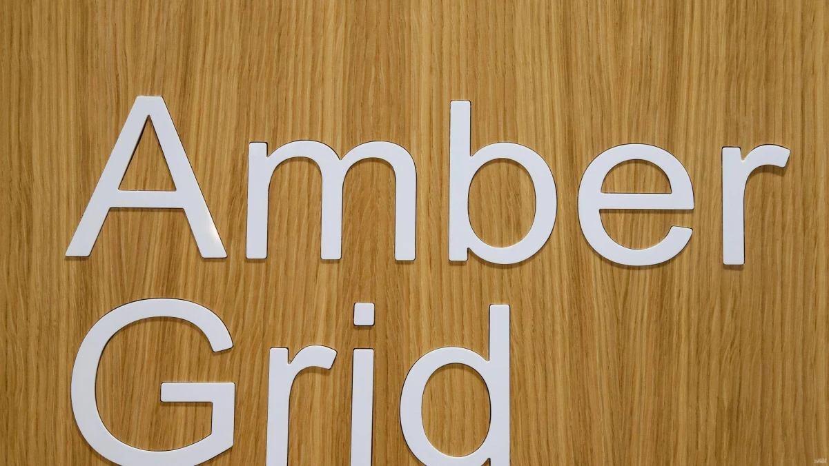 Amber Grid. Vladimiro Ivanovo (VŽ) nuotr.
