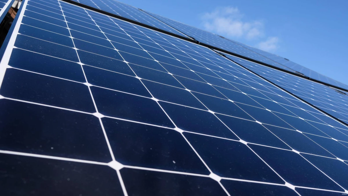 Vladimiro Ivanovo (VŽ) nuotr.