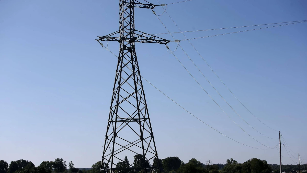 Vladimiro Ivanovo (VŽ) nuotr.