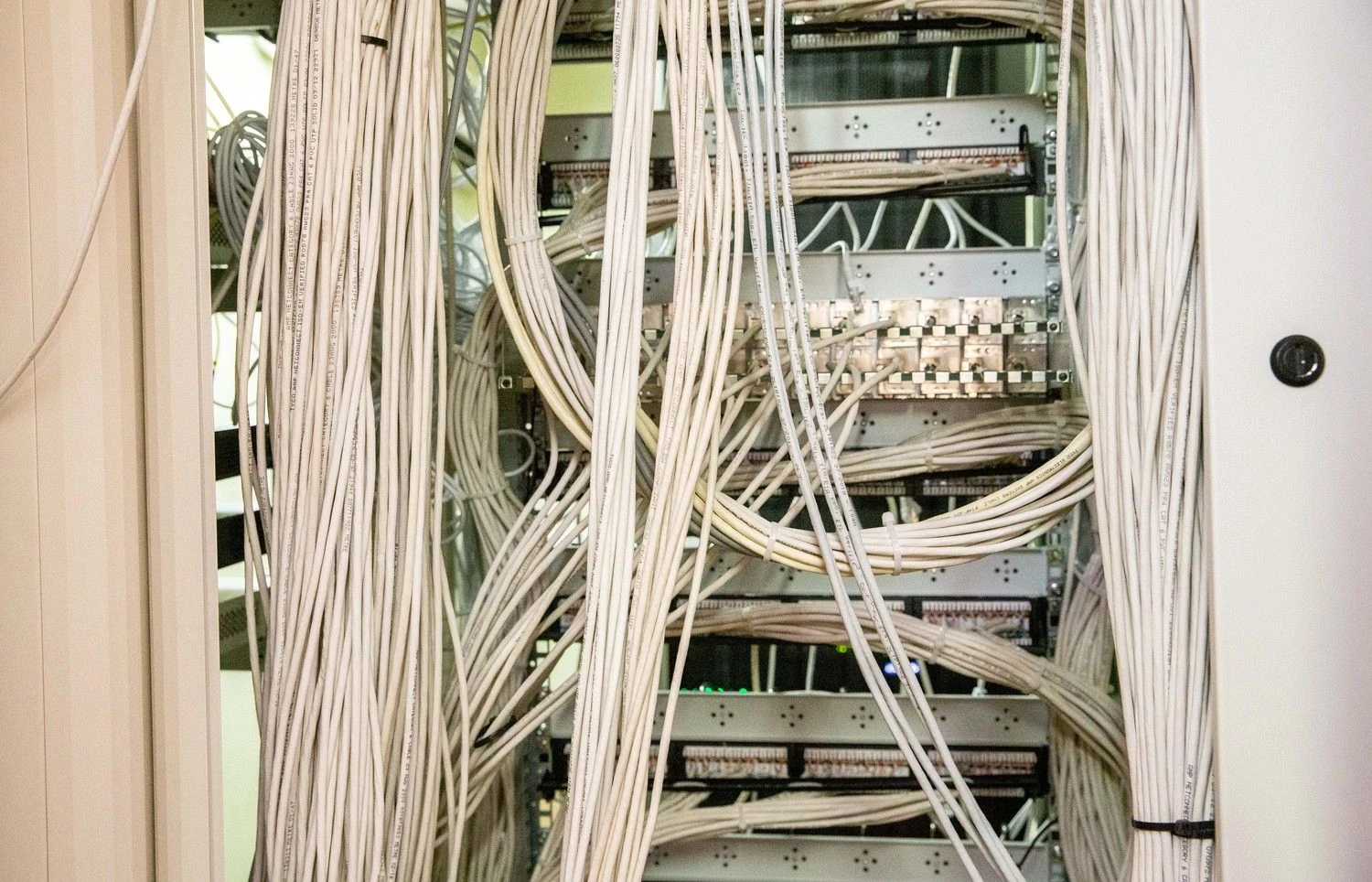 Juditos Grigelytės (VŽ) nuotr.