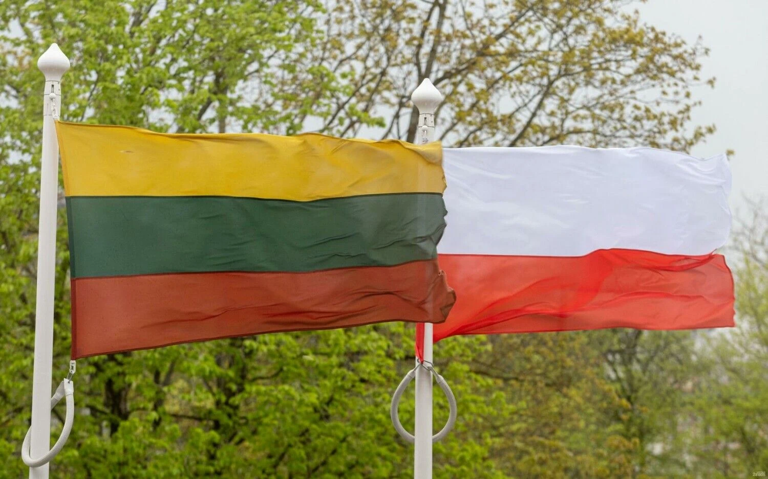 Juditos Grigelytės (VŽ) nuotr.