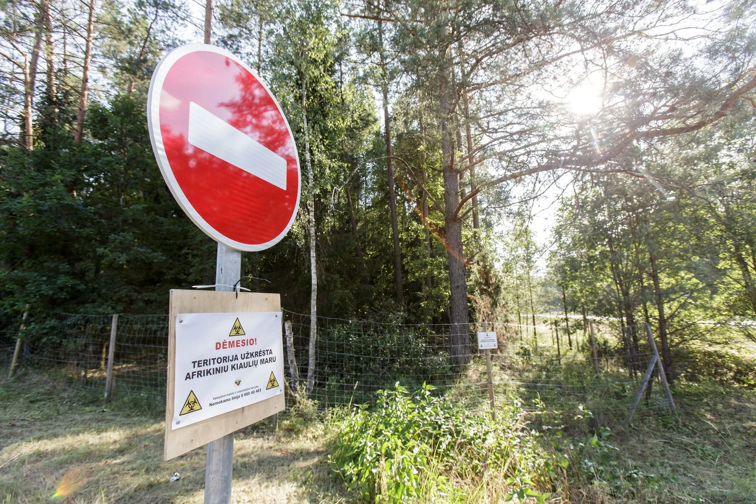 Juditos Grigelytės (VŽ) nuotr. 