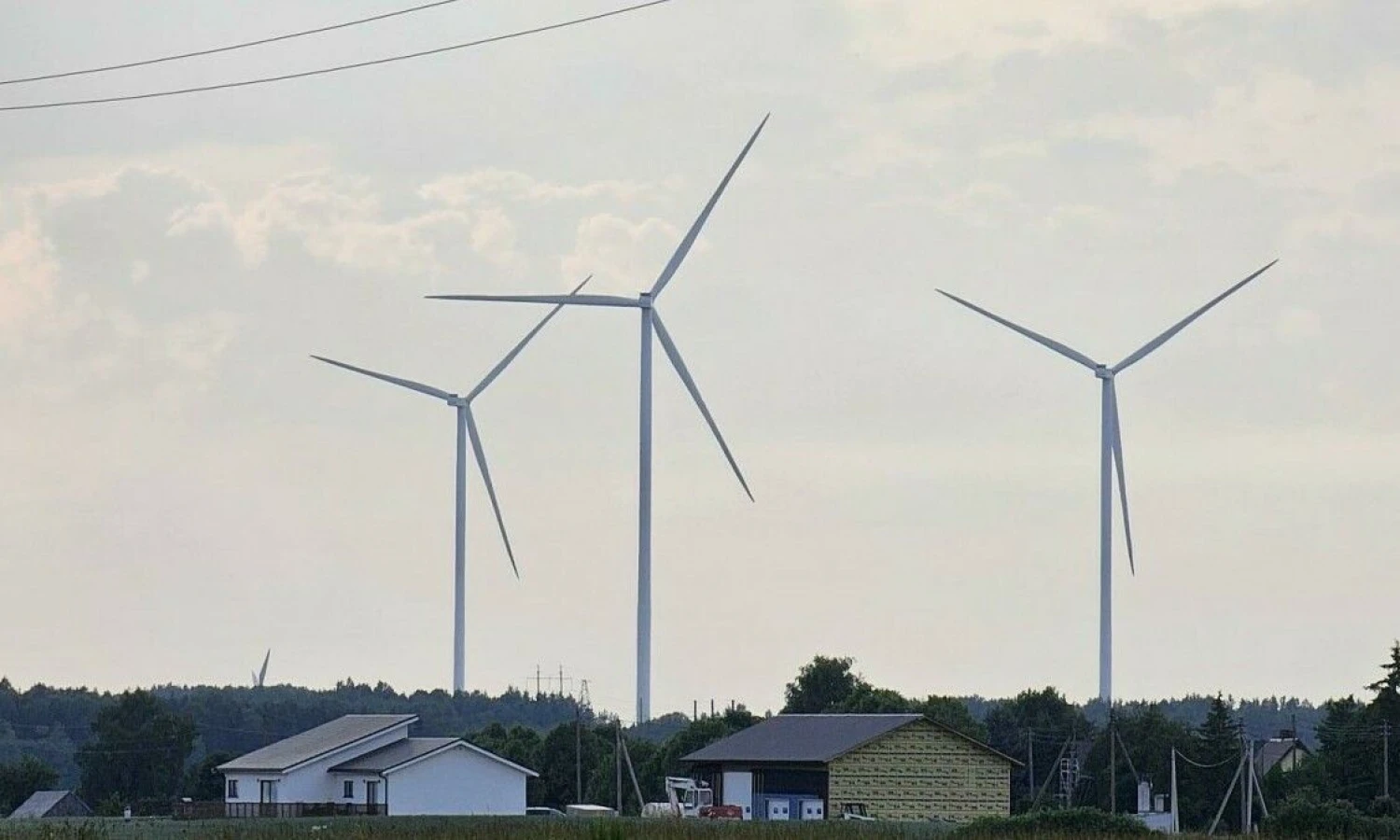 Lino Butkaus (VŽ) nuotr.