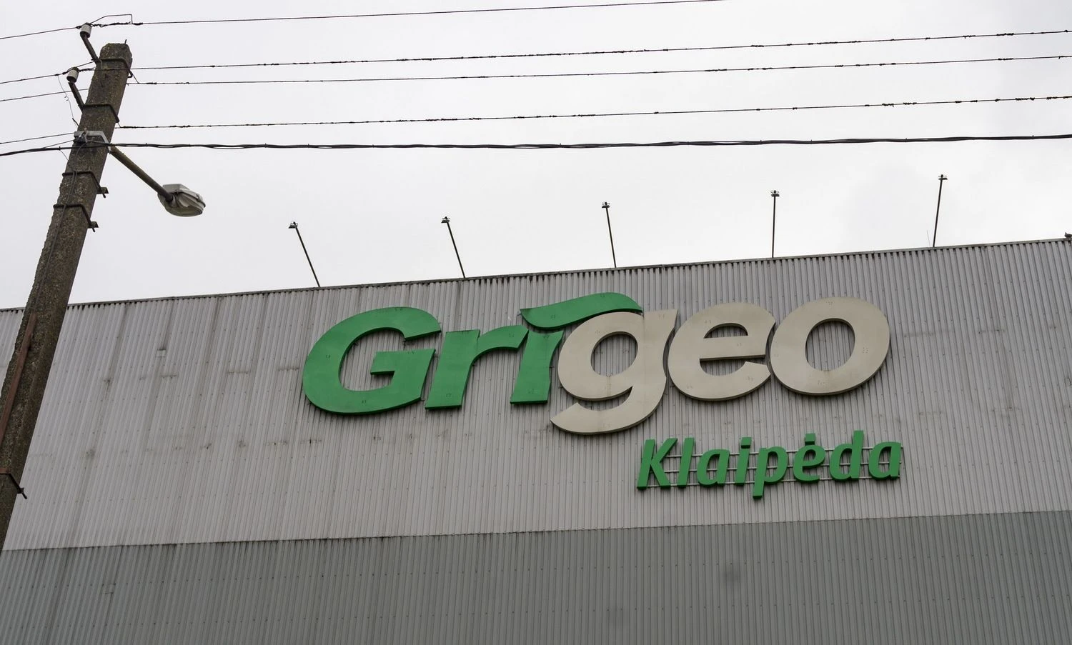 Algimanto Kalvaičio nuotr.