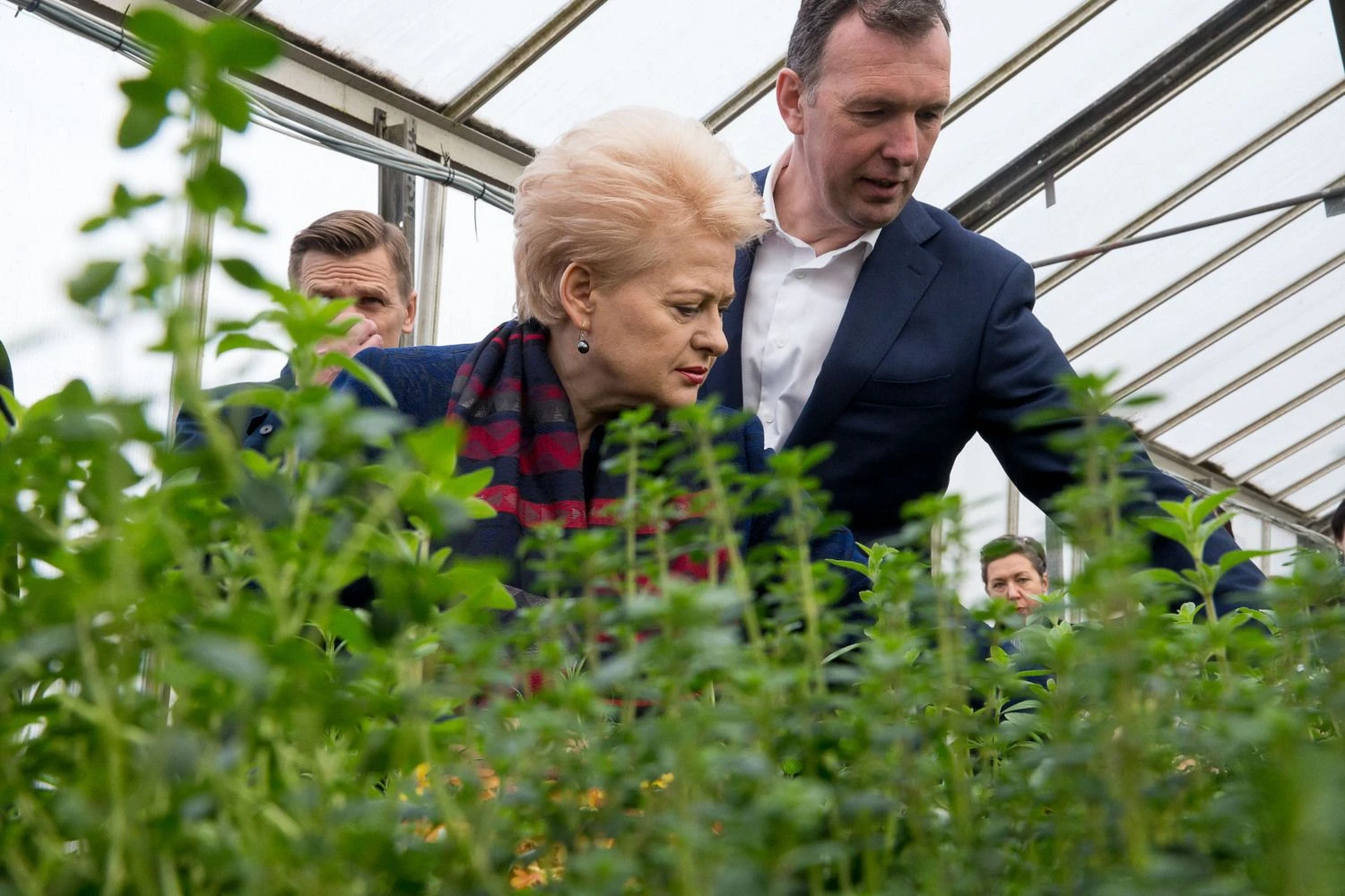 Vladimiro Ivanovo (VŽ) nuotr.