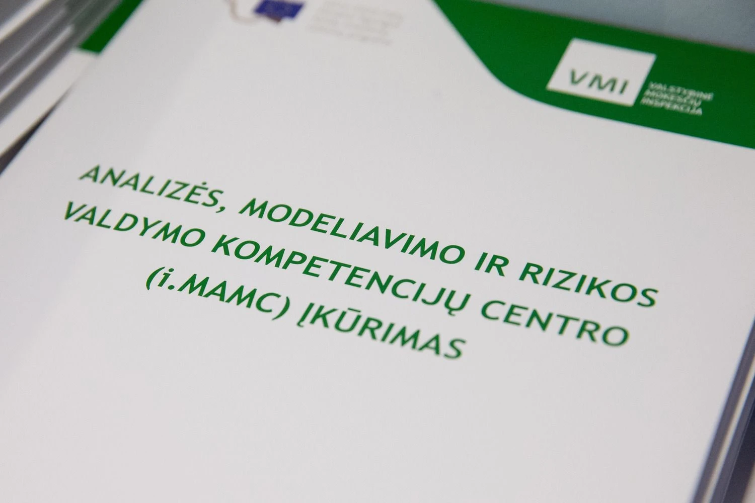 Vladimiro Ivanovo (VŽ) nuotr.