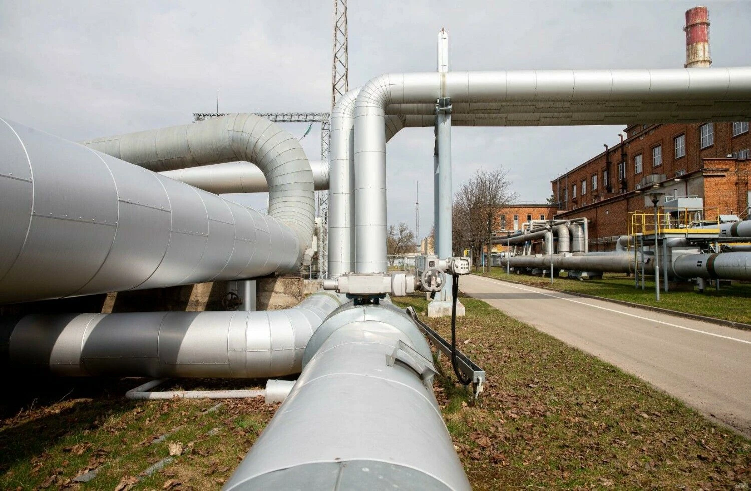 Juditos Grigelytės (VŽ) nuotr.