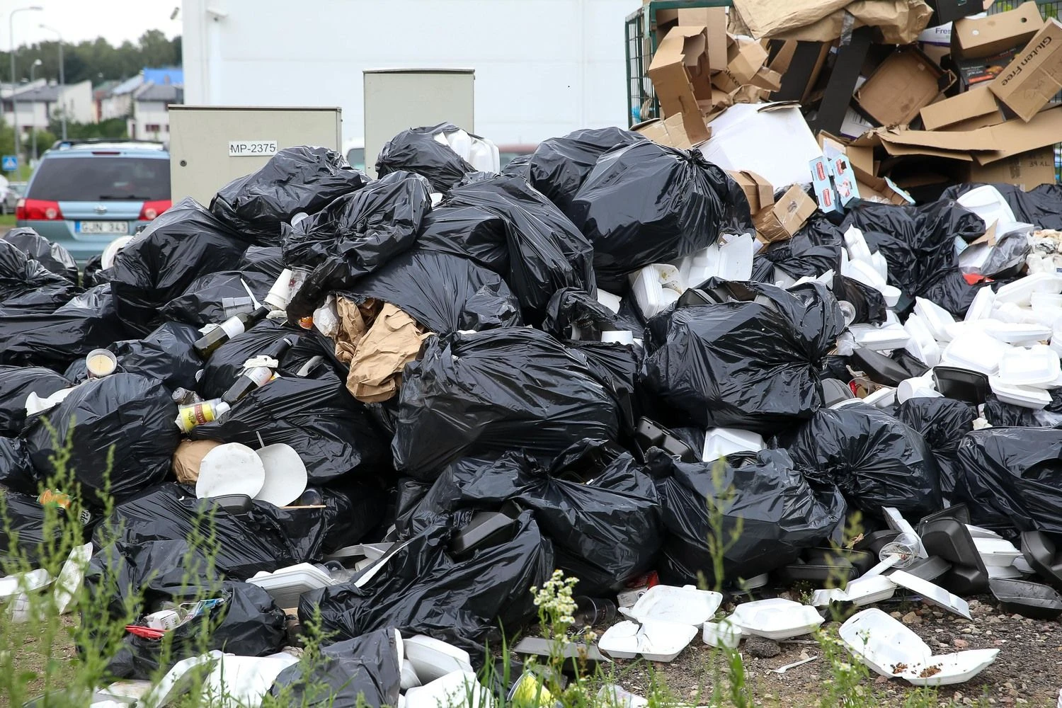 Vladimiro Ivanovo (VŽ) nuotr.