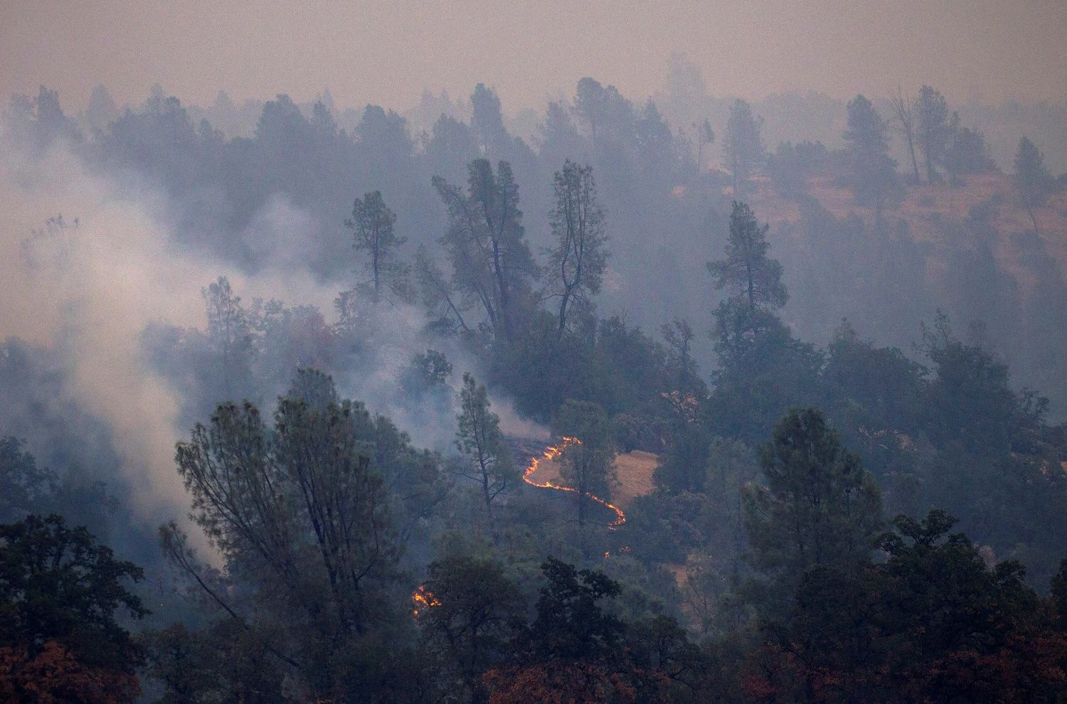 Jeigu visuotinė temperatūra pakil ne iki 1,5, o iki 2 laipsnių Celsijaus – kur kas daugiau žmonių truks vandens, maisto atsargų, daug daugiau šalių gyvens nepritekliuje, siautės sausros ir dažnesni miškų gaisrai. Bobo Strongo („Reuters“ / „Scanpix“) nuotr.