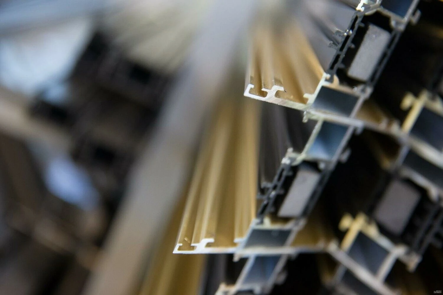 Vladimiro Ivanovo (VŽ) nuotr.