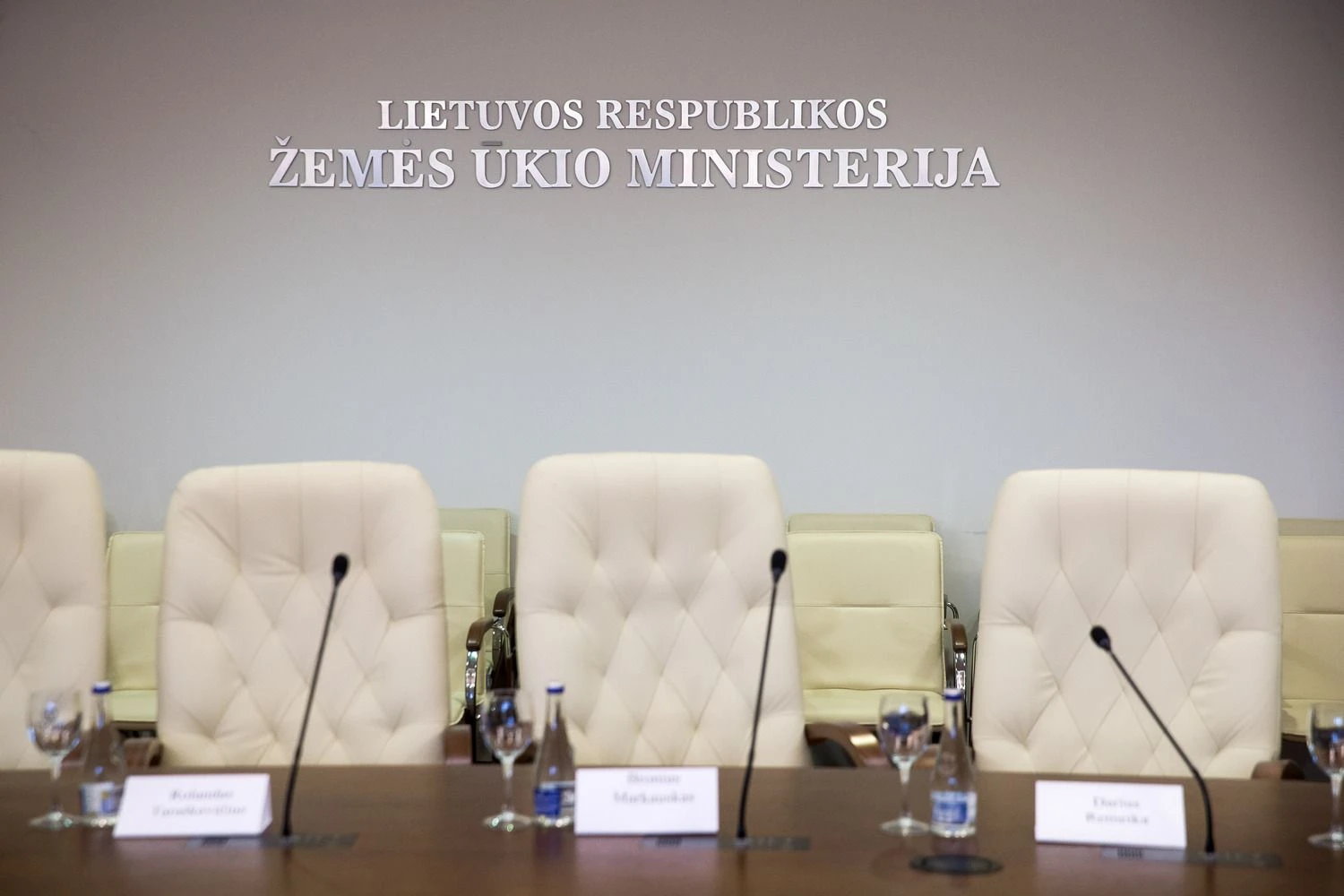 Vladimiro Ivanovo (VŽ) nuotr.