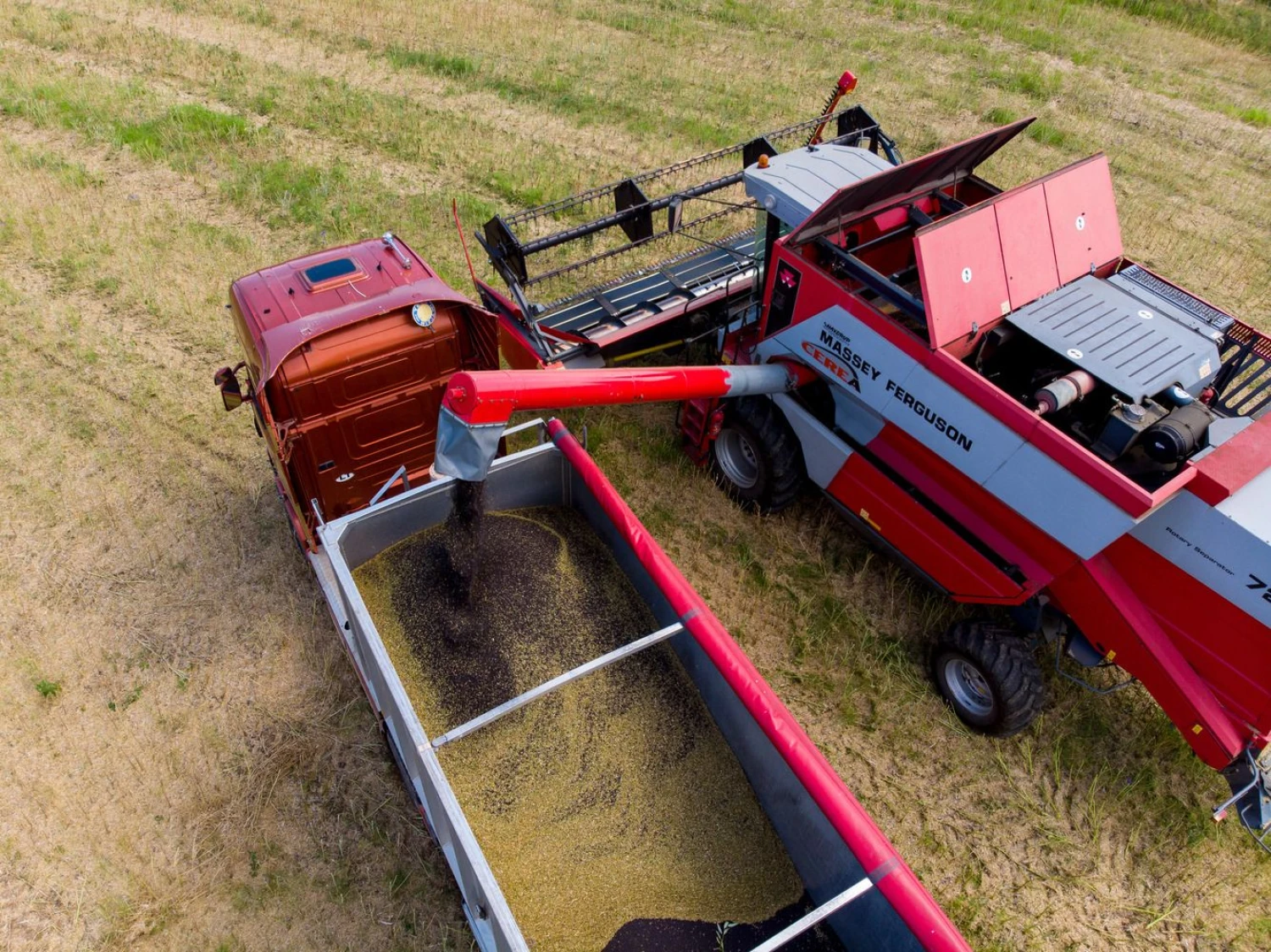 Vladimiro Ivanovo (VŽ) nuotr.