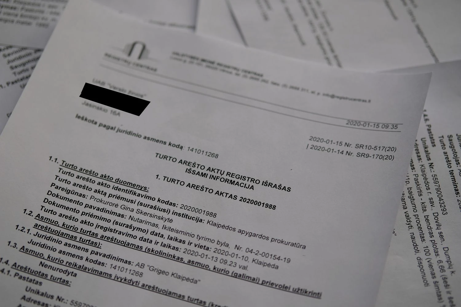 Vladimiro Ivanovo (VŽ) nuotr.