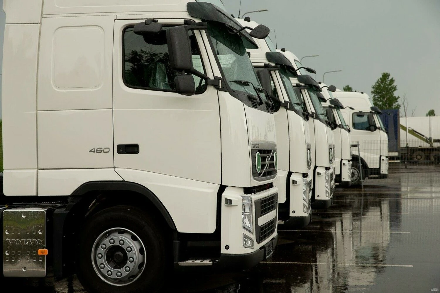 Vladimiro Ivanovo (VŽ) nuotr.