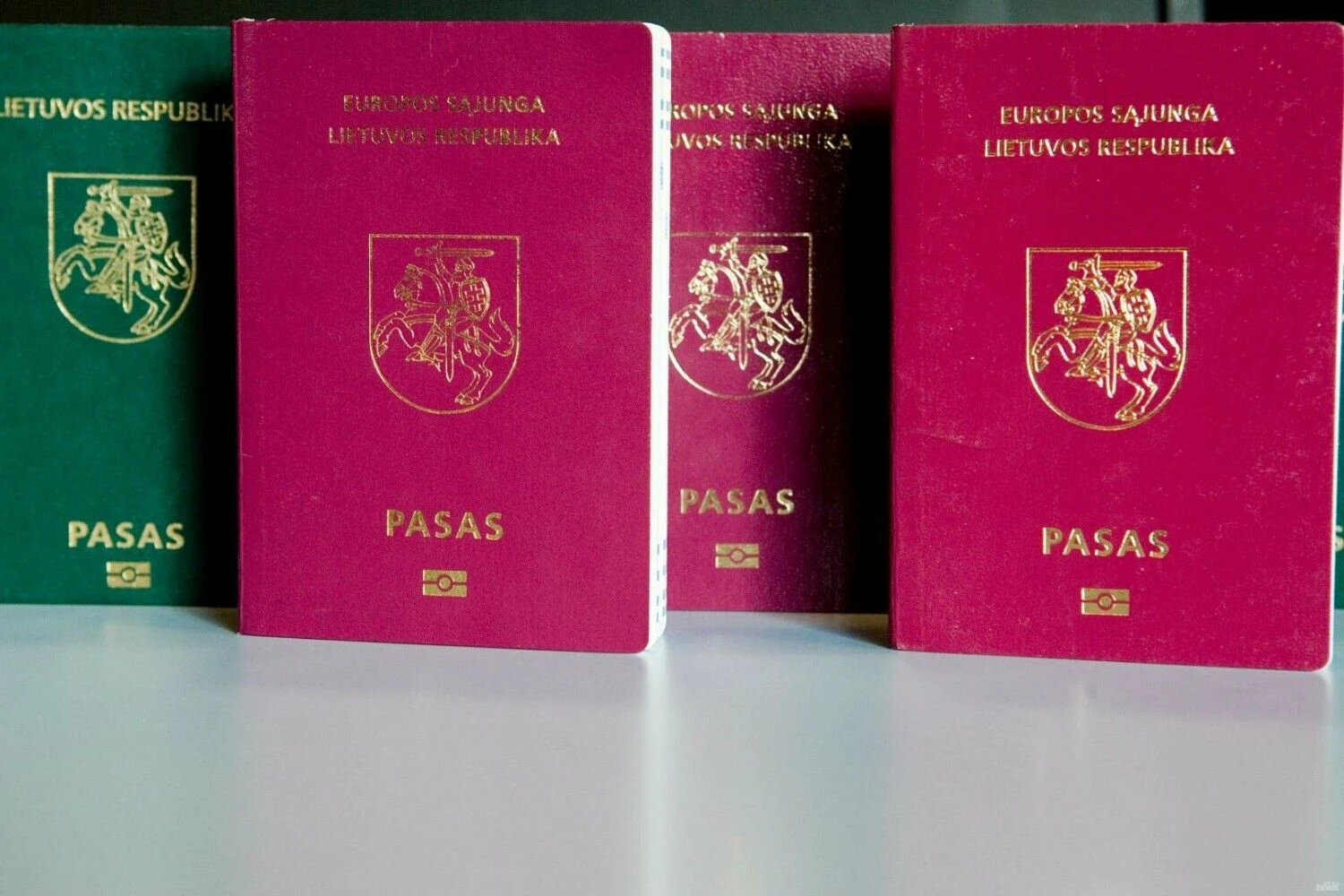 Vladimiro Ivanovo (VŽ) nuotr.