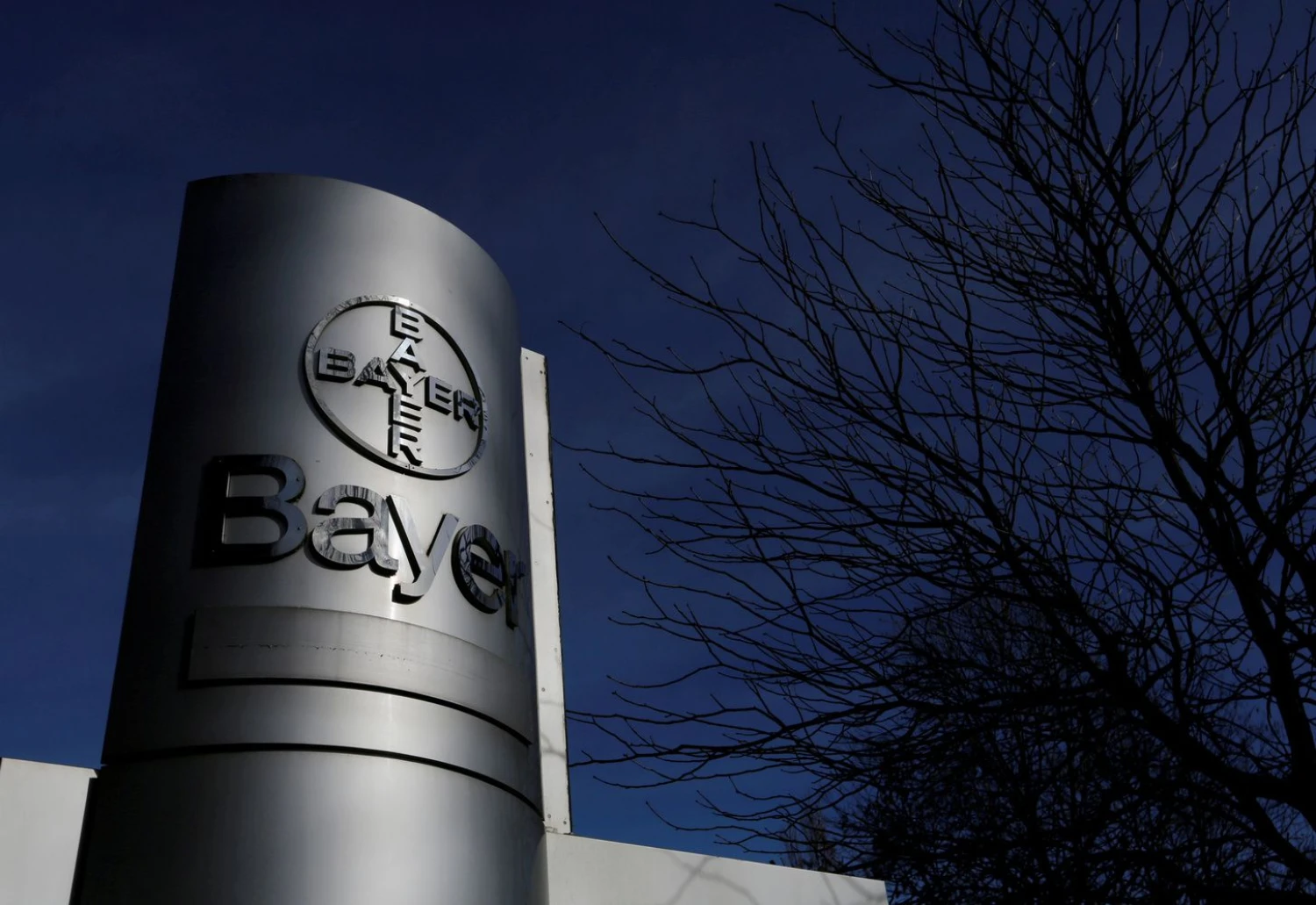 FILE PHOTO: The logo of Bayer AG,  February 24, 2014. REUTERS/Ina Fassbender/File Photo