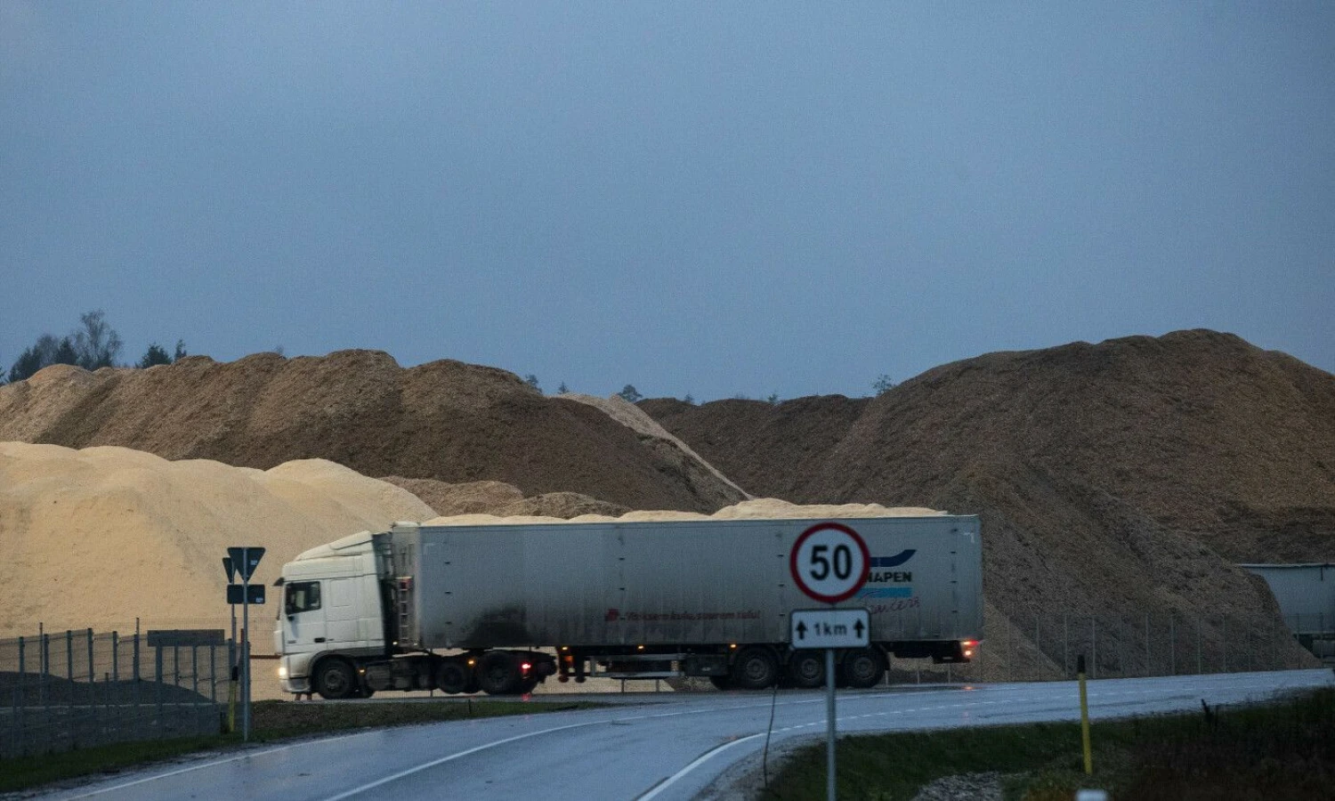 Liisos Treimann („Aripaev“ / „Scanpix“) nuotr.