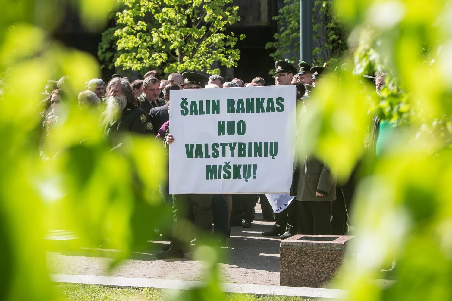 Į Valstybinių miškų urėdijos padalinių vadovų postus pretenduoja ir buvę urėdai, kurie aktyviai pasisakė prieš sistemos pertvarką. Juditos Grigelytės (VŽ) nuotr.
