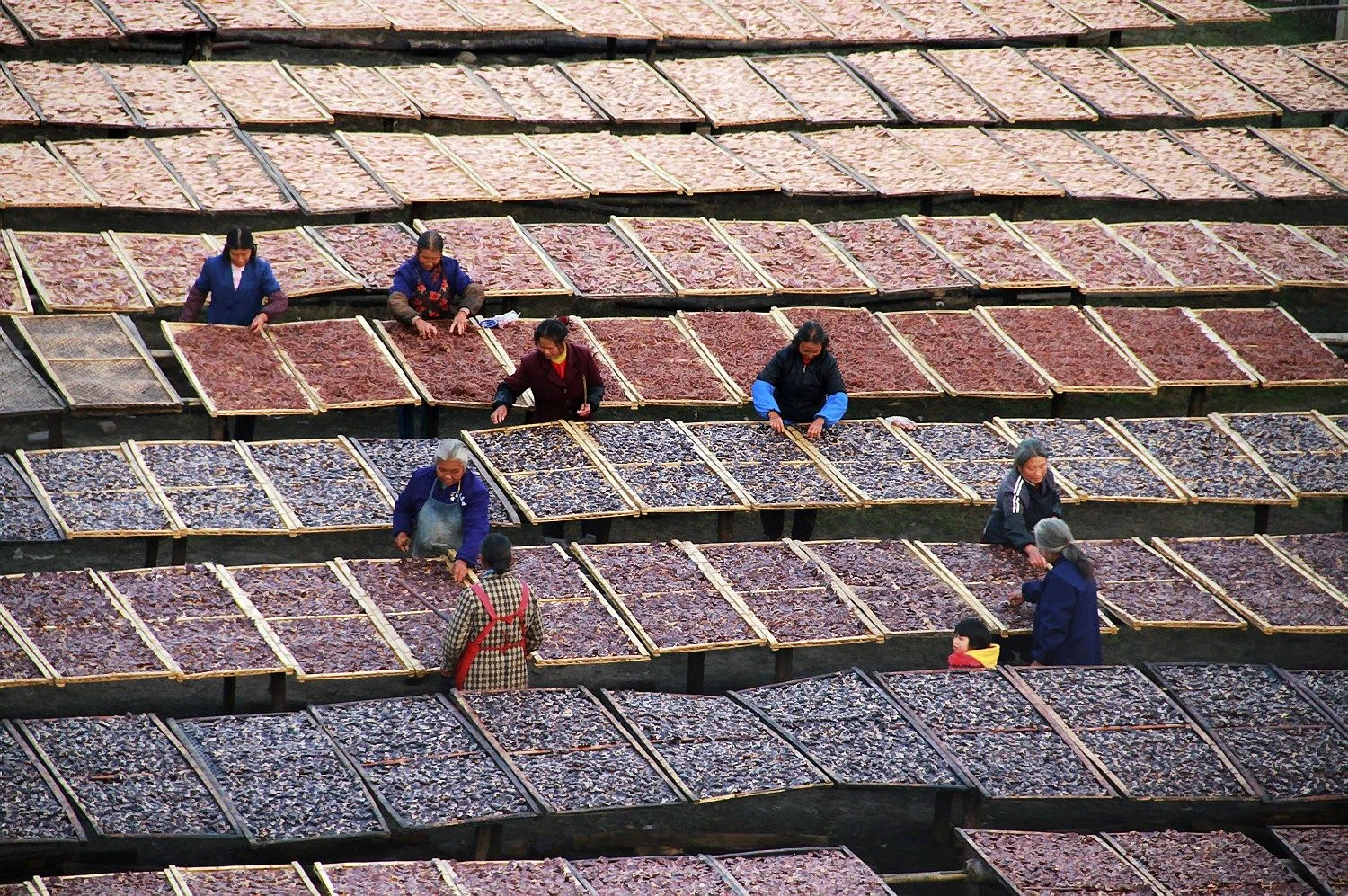 „Reuters“ / „Scanpix“ nuotr.