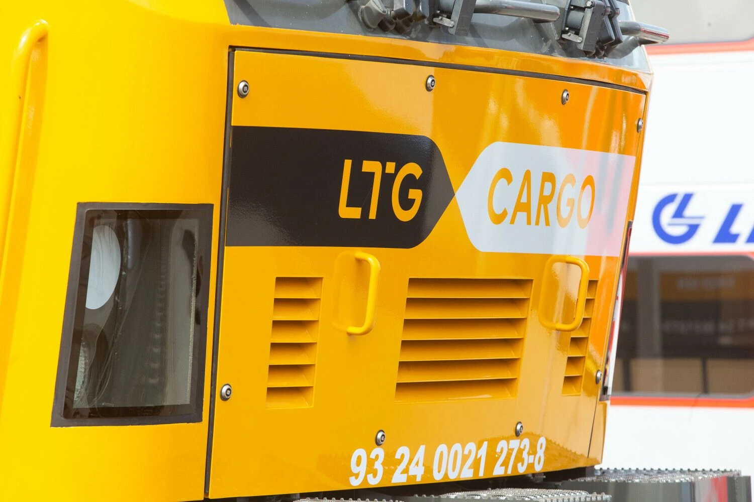 Vladimiro Ivanovo (VŽ) nuotr.