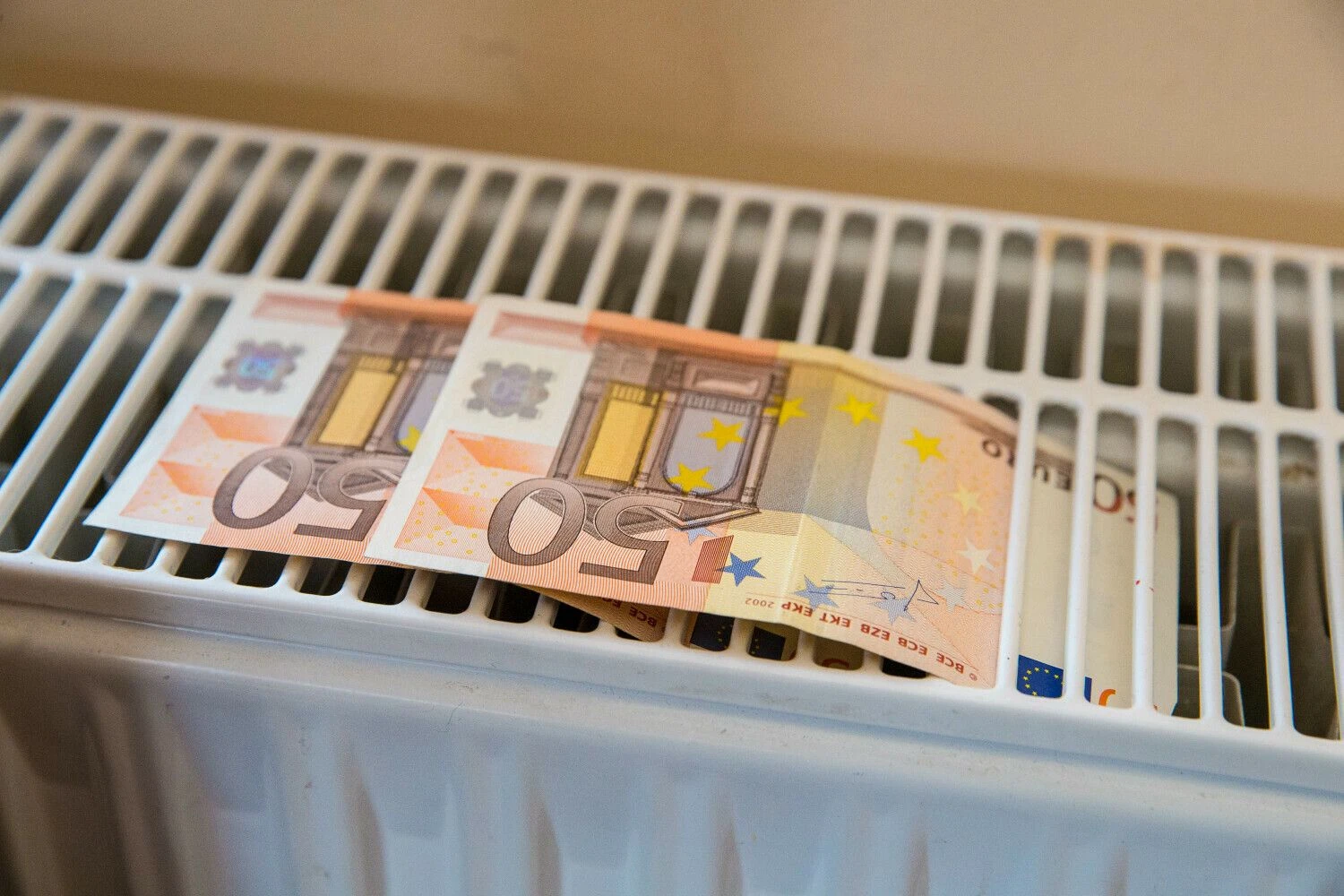 Juditos Grigelytės (VŽ) nuotr.