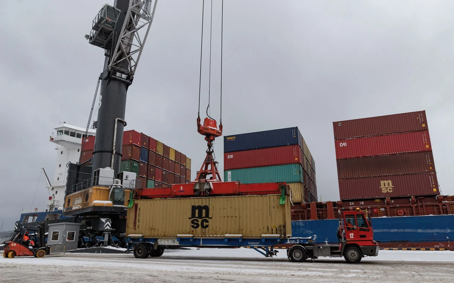 Algimanto Kalvaičio nuotr.