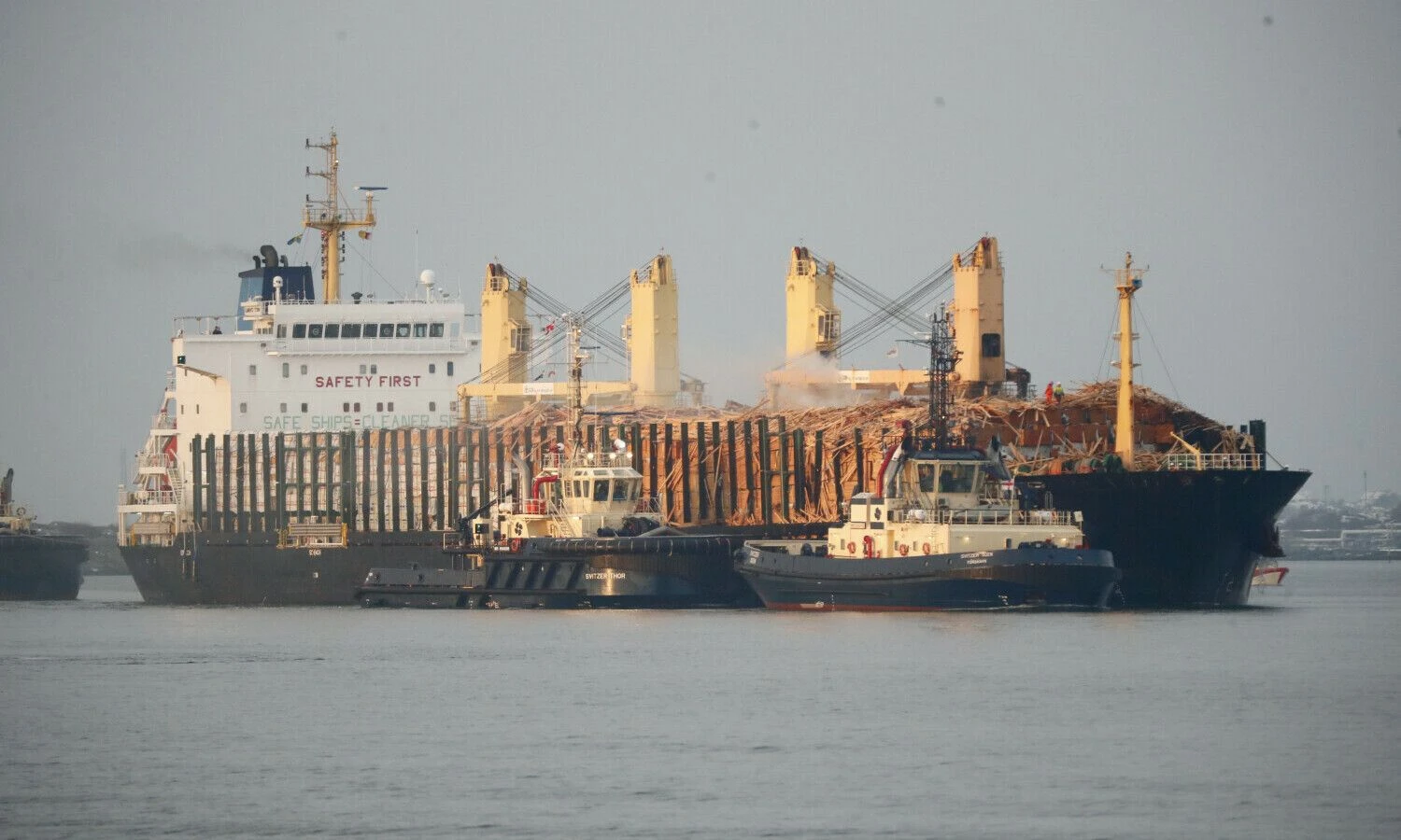 Reuters / Scanpix nuotr.