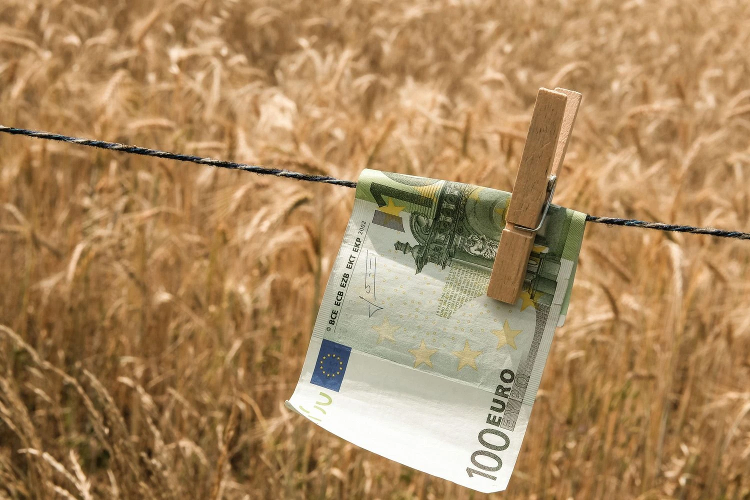 Vladimiro Ivanovo (VŽ) nuotr.