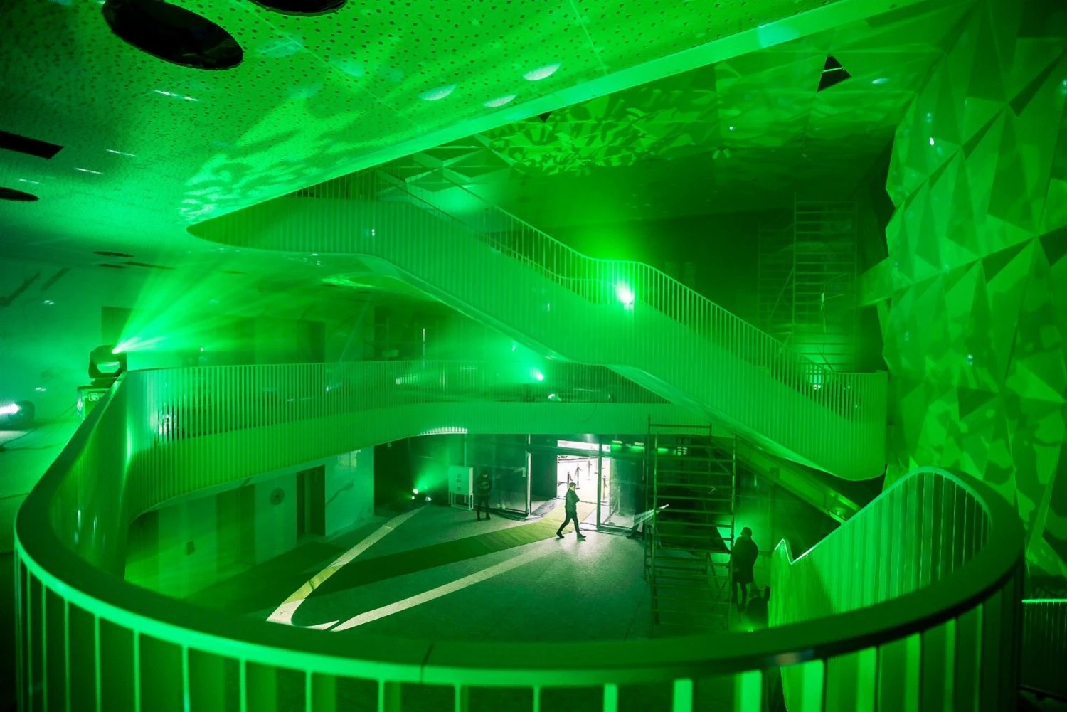 Rido Damkevičiaus ir Lino Žukausko nuotr. 