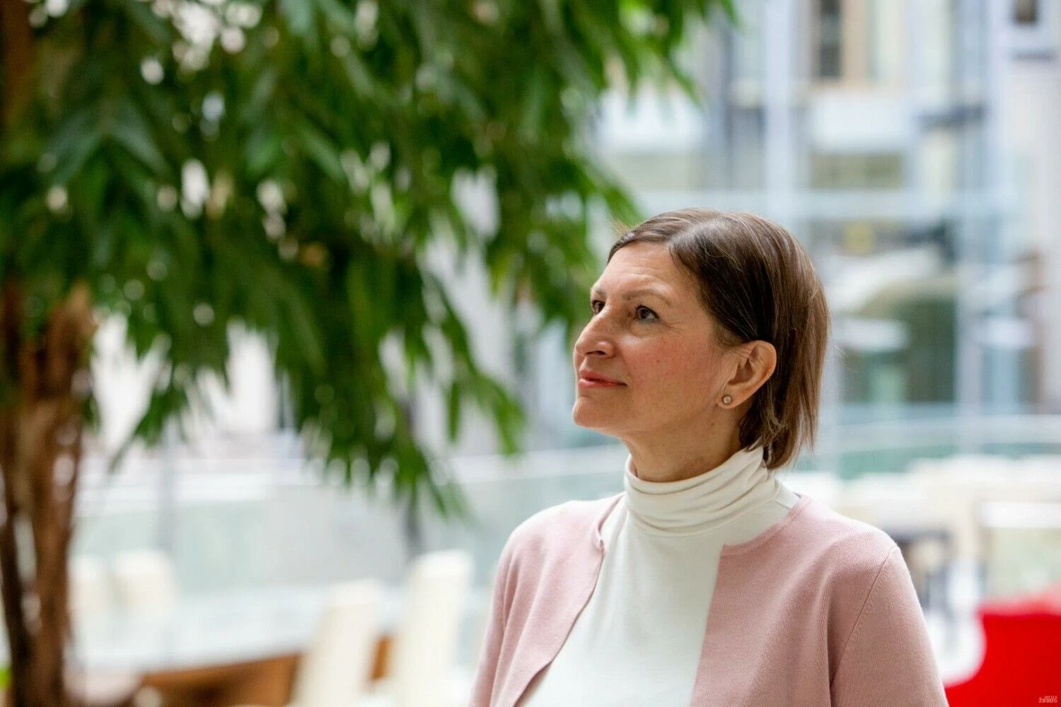 Vladimiro Ivanovo (VŽ) nuotr.