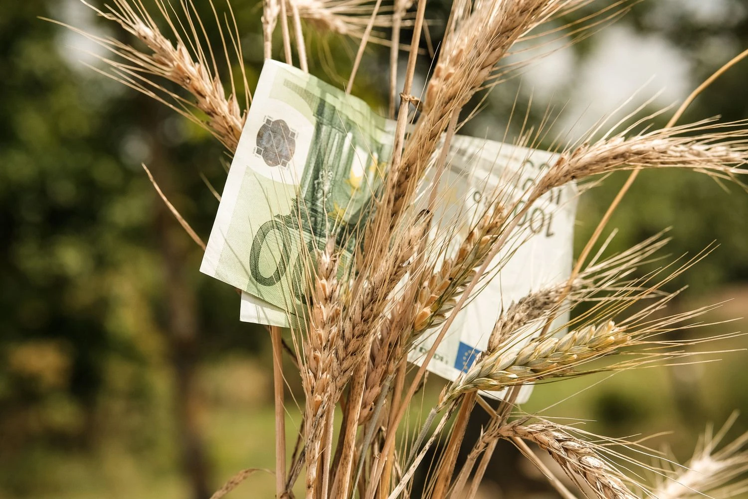 Vladimiro Ivanovo (VŽ) nuotr.