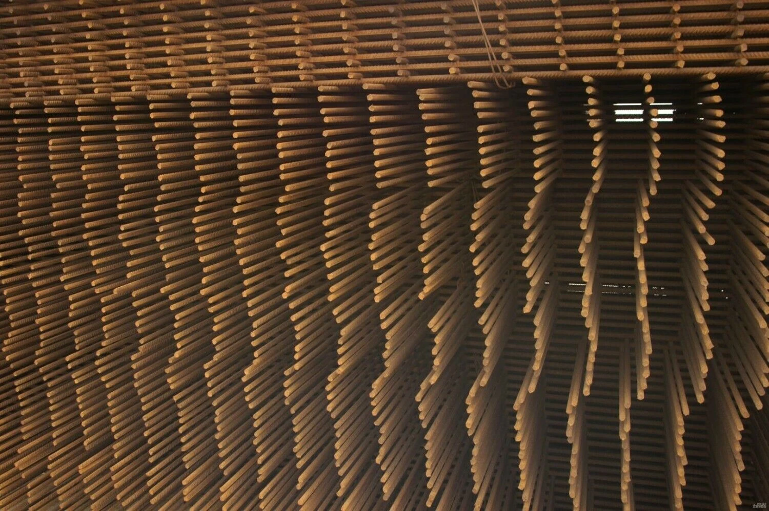 Algimanto Kalvaičio nuotr.