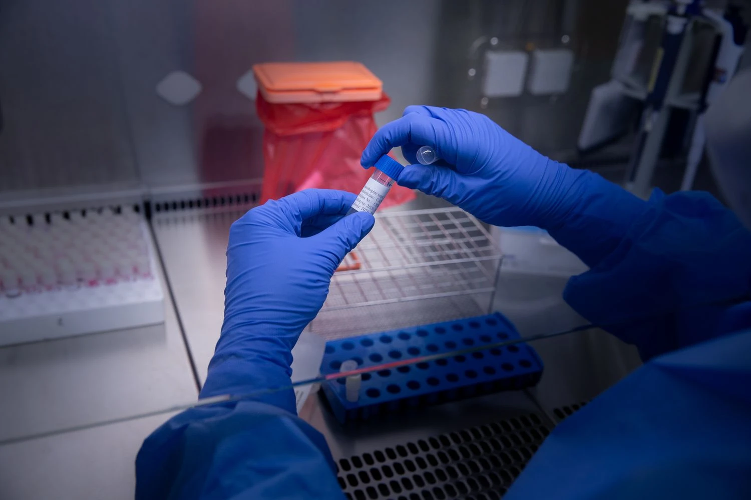 Vladimiro Ivanovo (VŽ) nuotr.