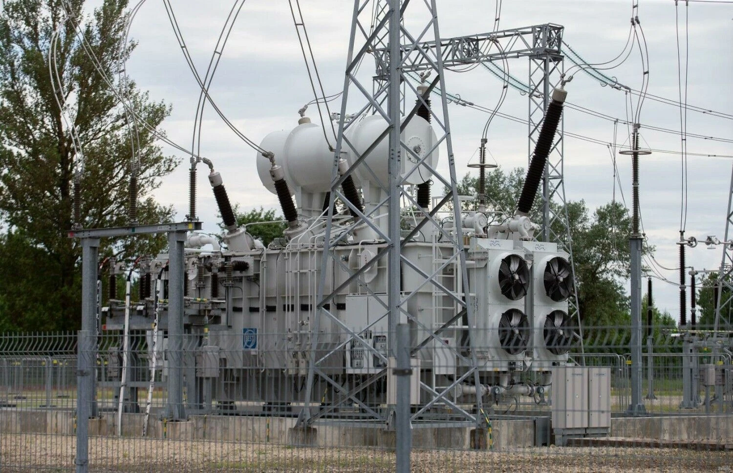 Juditos Grigelytės (VŽ) nuotr.