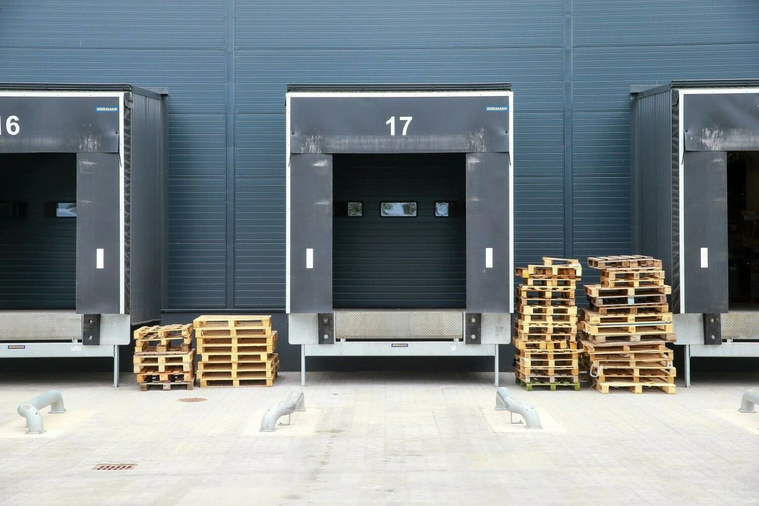 Vladimiro Ivanovo (VŽ) nuotr.