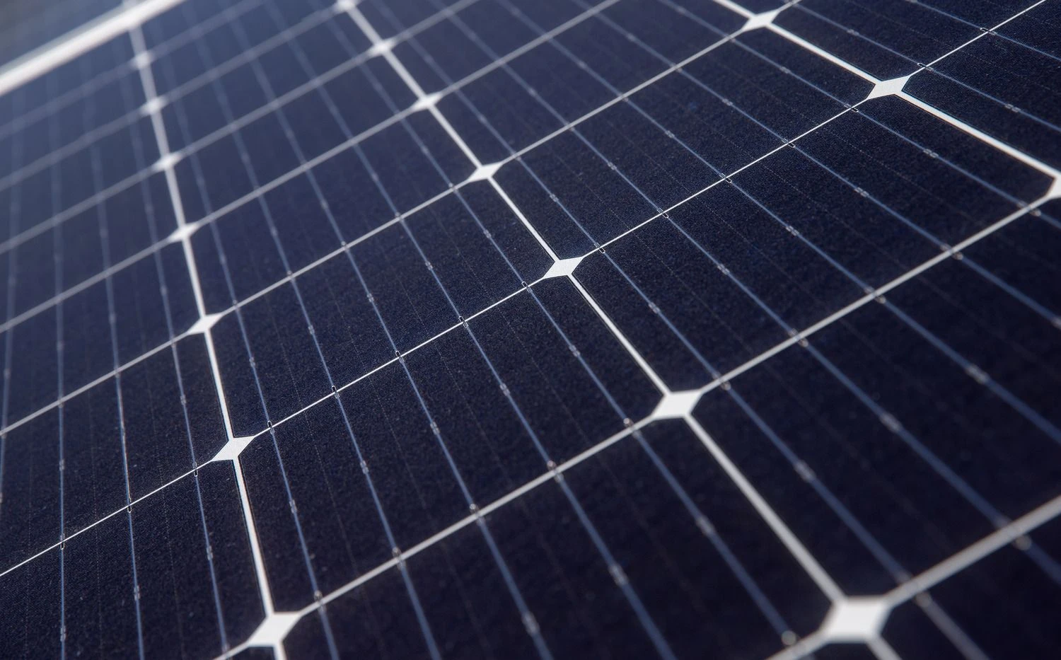 Juditos Grigelytės (VŽ) nuotr.