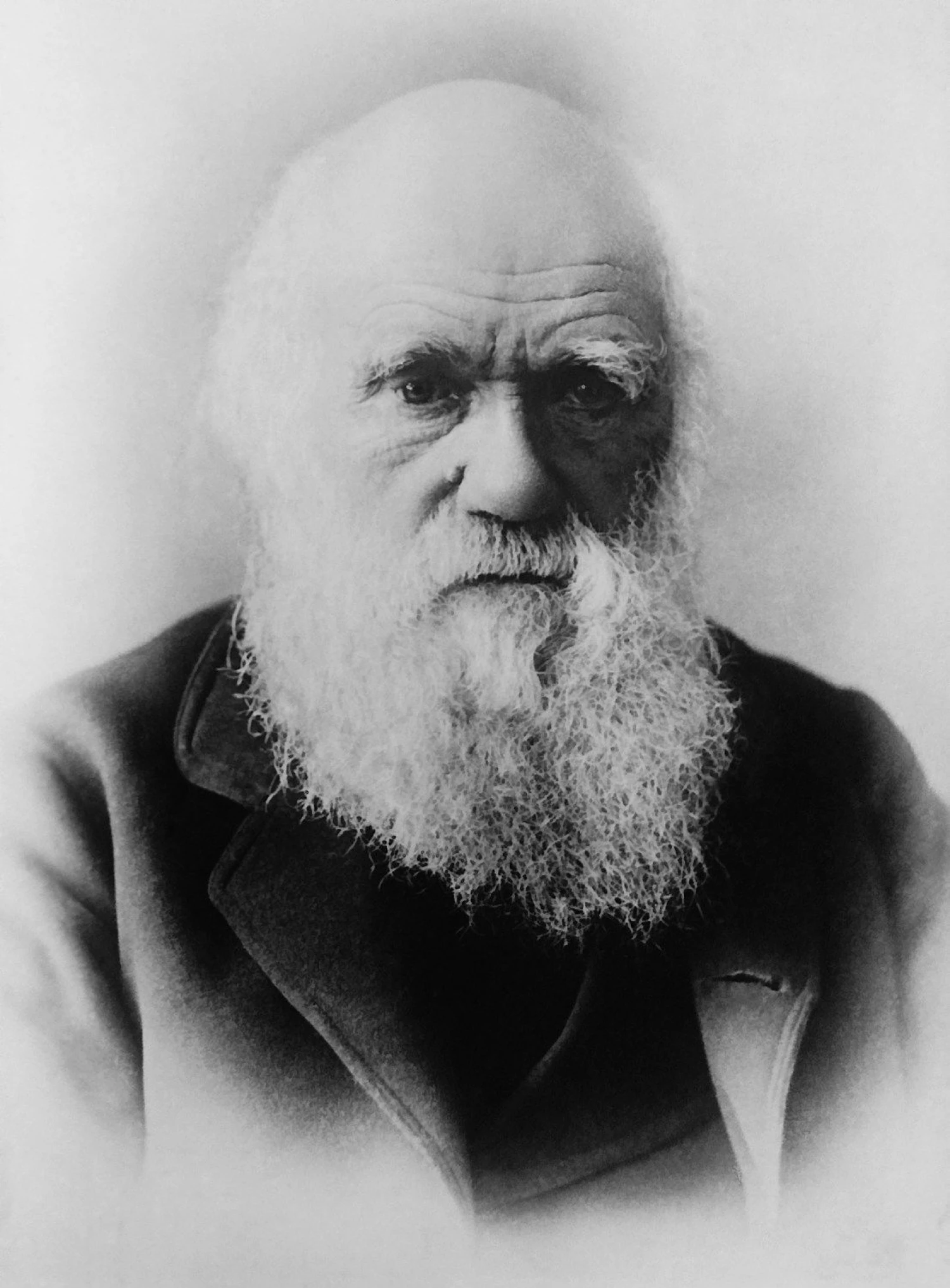Charlesui Darwinui itin patiko žongliruoti keliais darbais vienu metu. „Wikipedios“ nuotr. 
