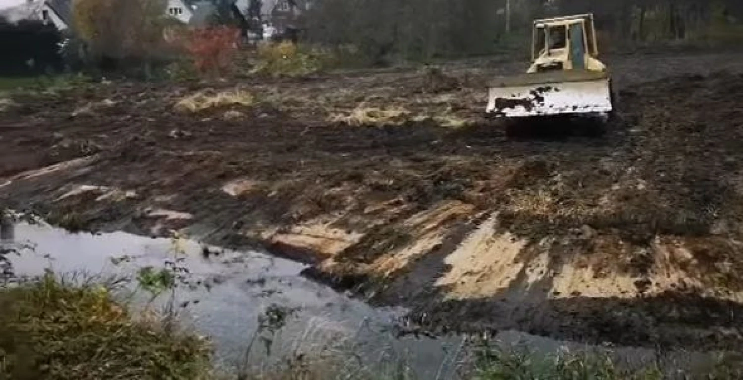 Stop kadras iš „Lašišos dienoraštis“ paskelbto vaizdo įrašo.