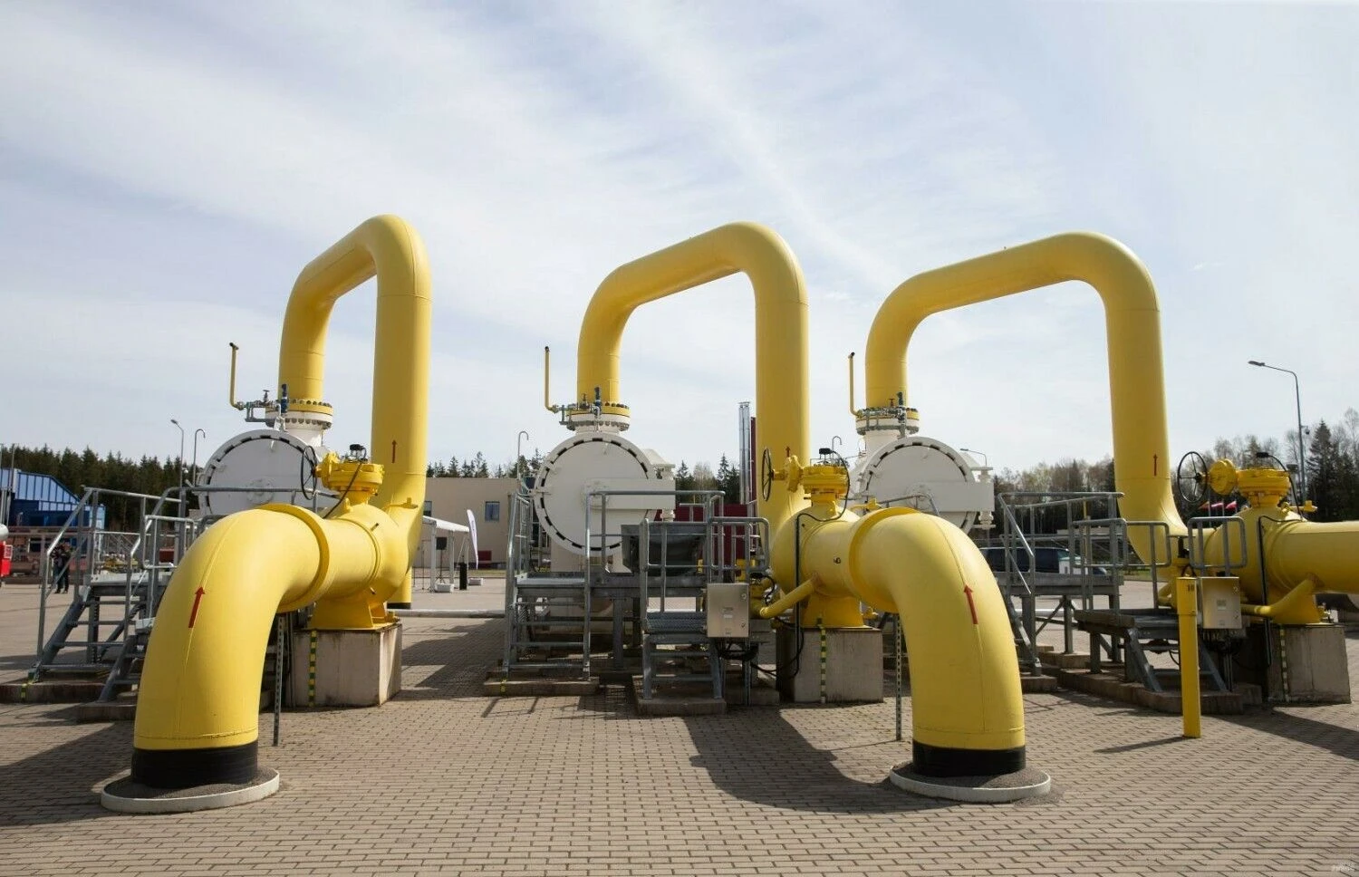 Juditos Grigelytės (VŽ) nuotr.