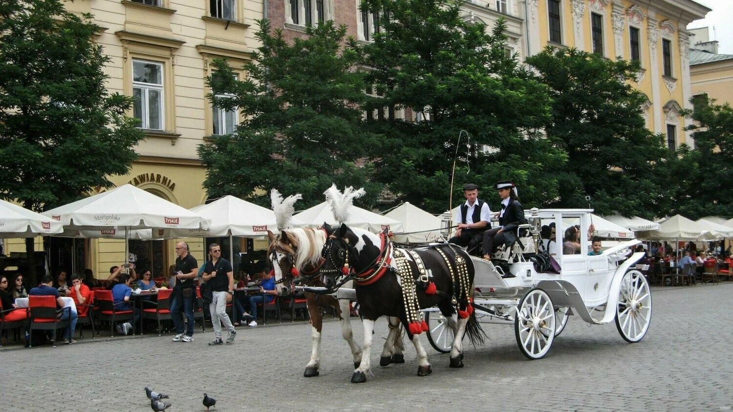 Krokuvos senamiestis. Juditos Grigelytės (VŽ) nuotr.