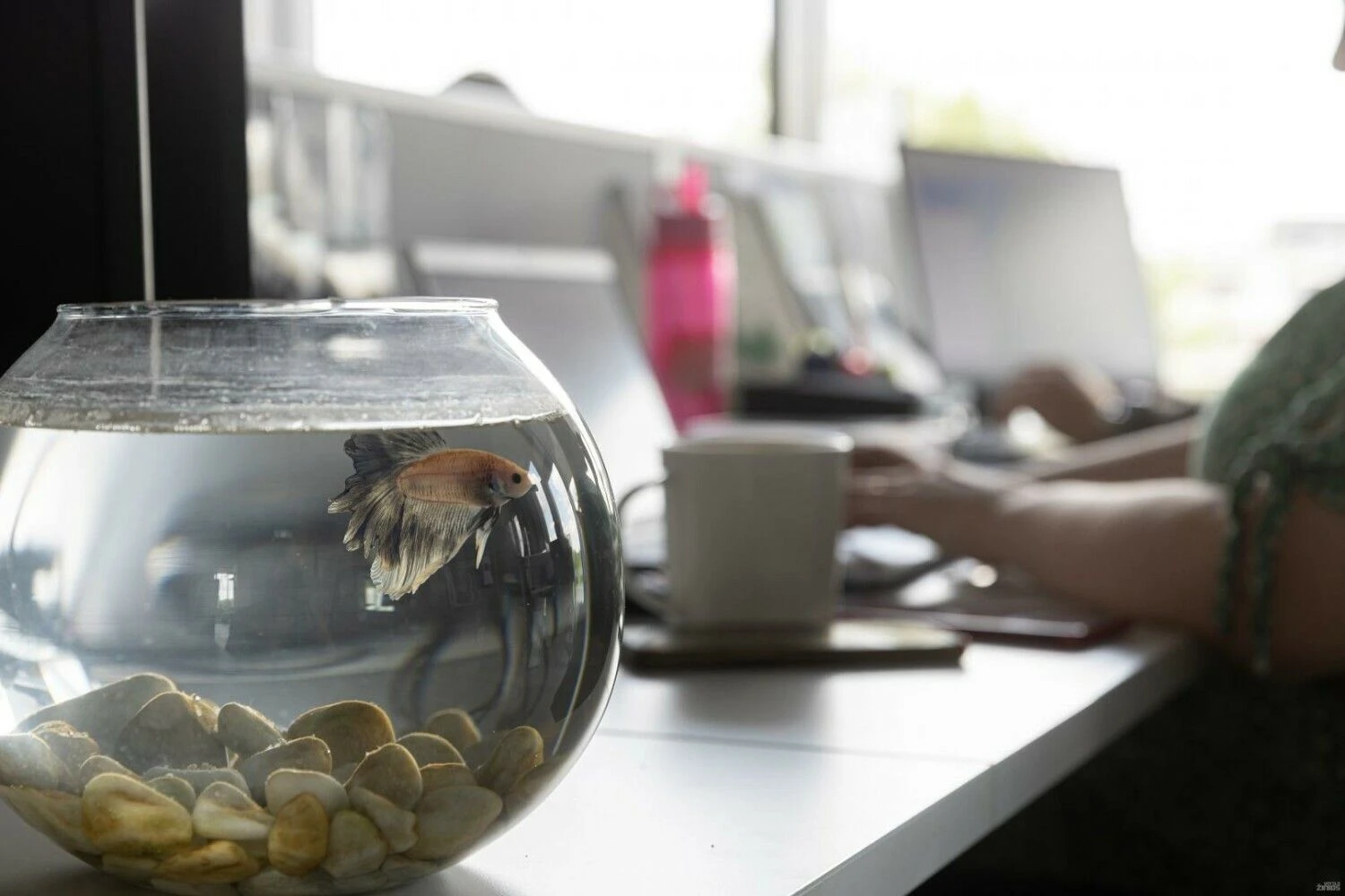 Darbuotojas gali būti lojalus, bet praktikuoti tylųjį atsitraukimą. Įmonėje jis gal ir dirbs ilgai, bet nebus įsitraukęs. Juditos Grigelytės (VŽ) nuotr.