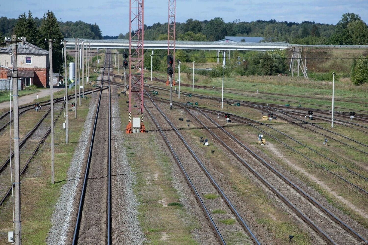 Vladimiro Ivanovo (VŽ) nuotr.