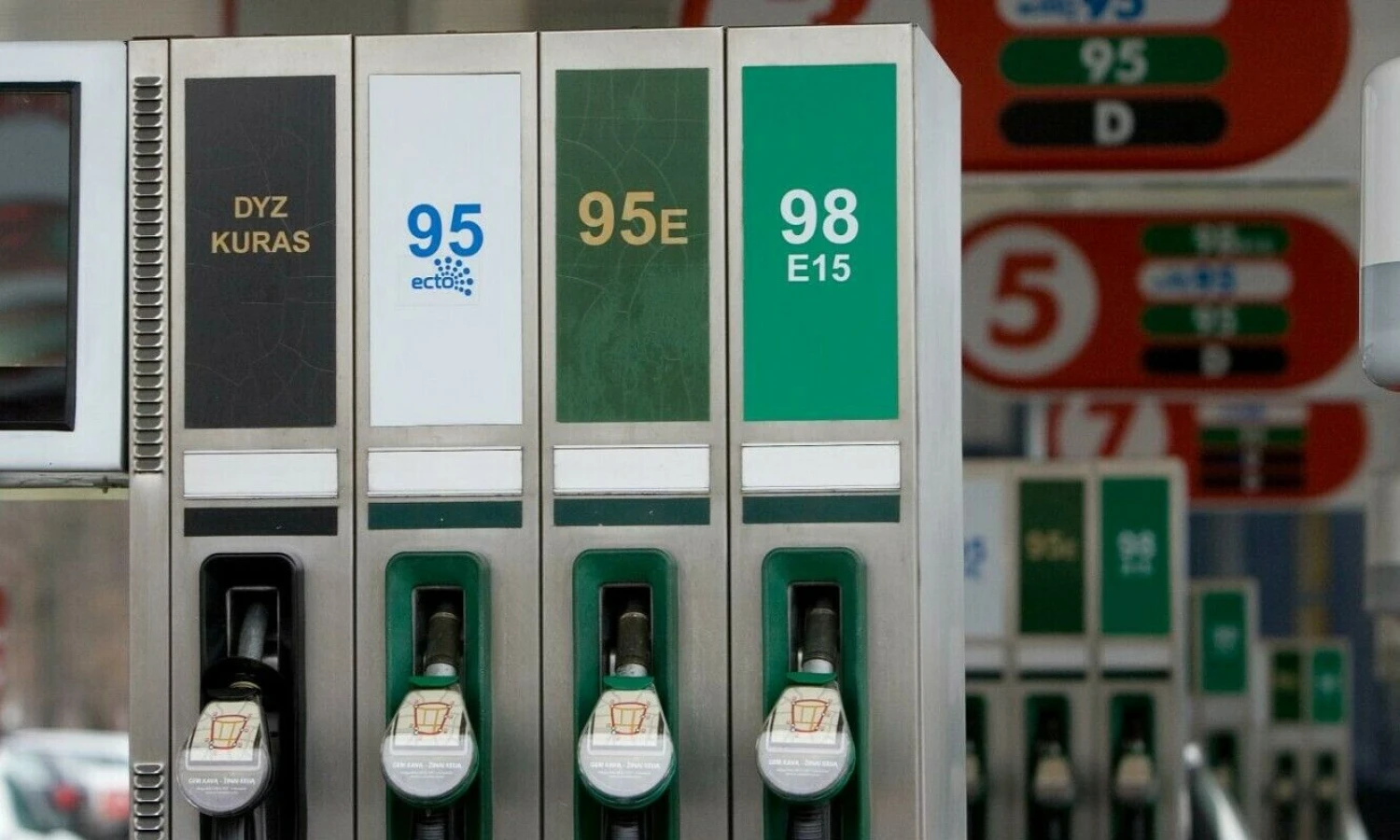 Juditos Grigelytės (VŽ) nuotr.