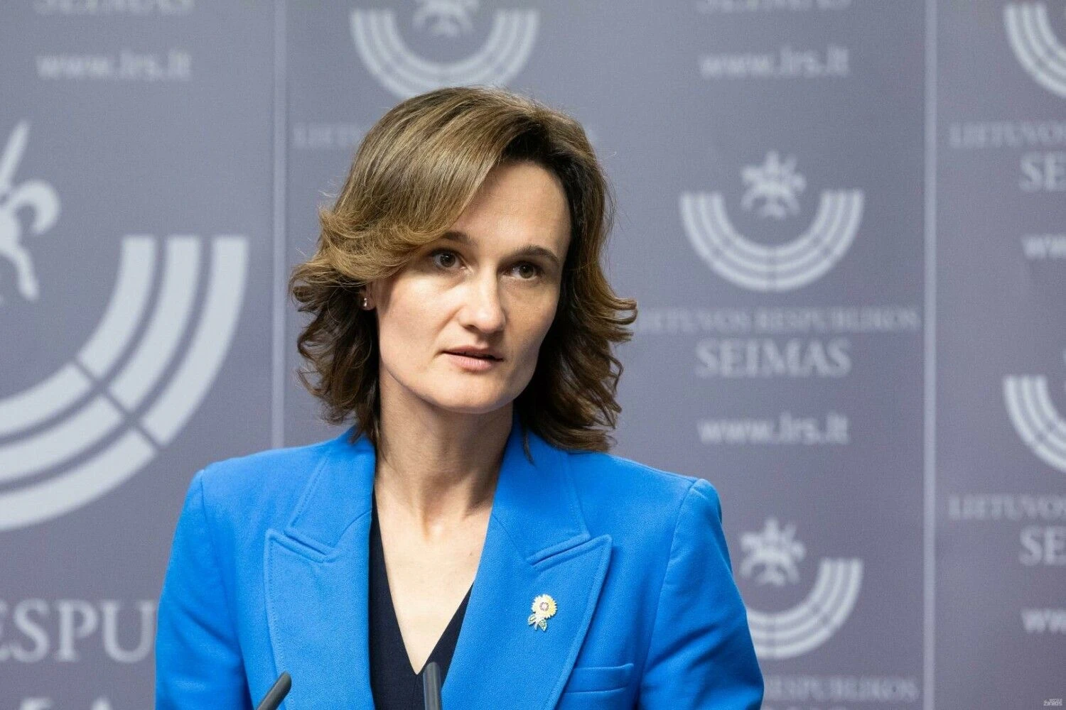 Viktorija Čmilytė-Nielsen, Seimo pirmininkė. Juditos Grigelytės (VŽ) nuotr.